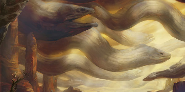 flying-rock-eel